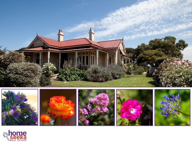 A Step Back In Time Picture 3