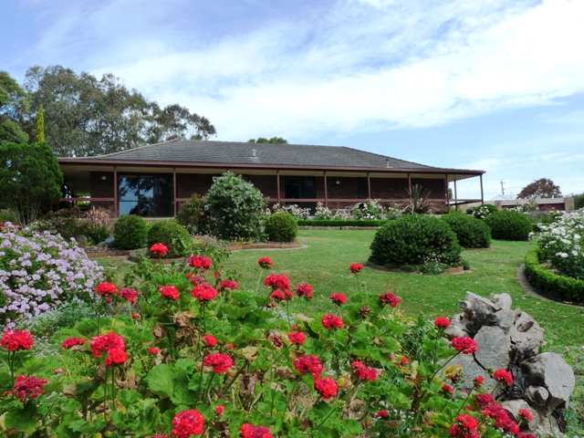 Picture Perfect Picture 1