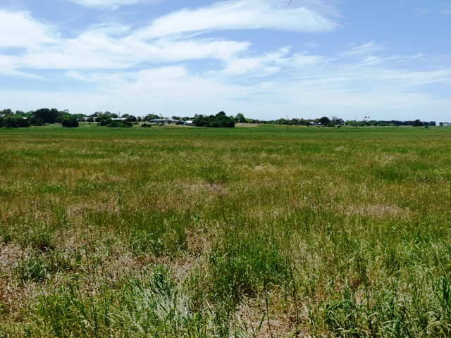 Farming Land Close To Mortlake Picture 3