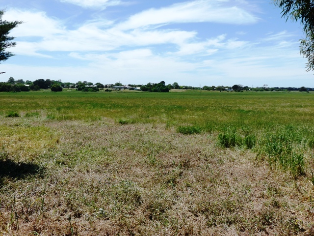Farming Land Close To Mortlake Picture 1