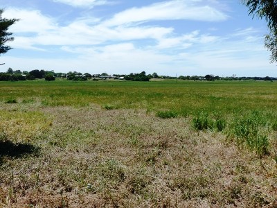 Farming Land Close To Mortlake Picture Farming Land Close To Mortlake Picture