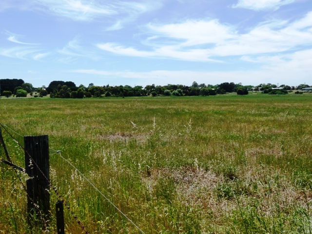 Farming Land Close To Mortlake Picture 2