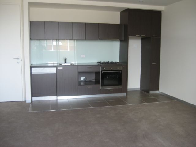 Brand New Apartment! Picture 1