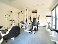 Royal Flagstaff, 33 Jeffcott St: What A Location! Picture