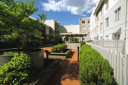 University Place, 20 Courtney St: Close To Everything You Need! Picture 2