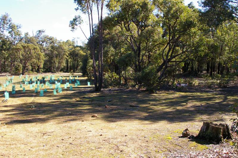 5 ACRES ADJOINING NATIONAL PARK Picture 3