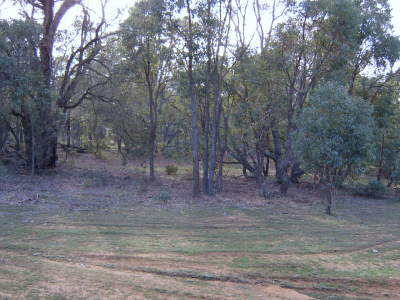 5 ACRES ADJOINING NATIONAL PARK Picture 1