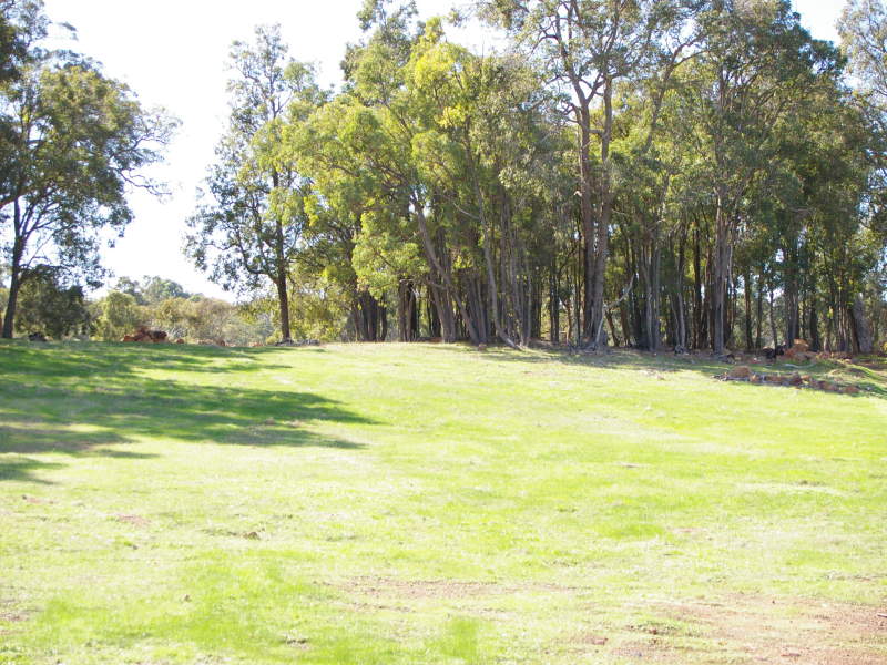 5 ACRES HIGH LOCATION Picture 2