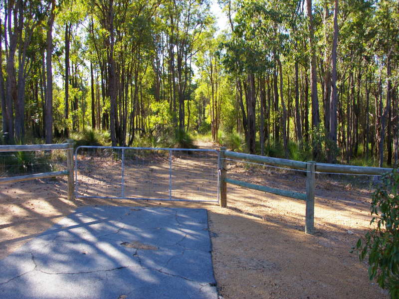 5 ACRES OF TALL TREES AND BLACKBOYS Picture 2