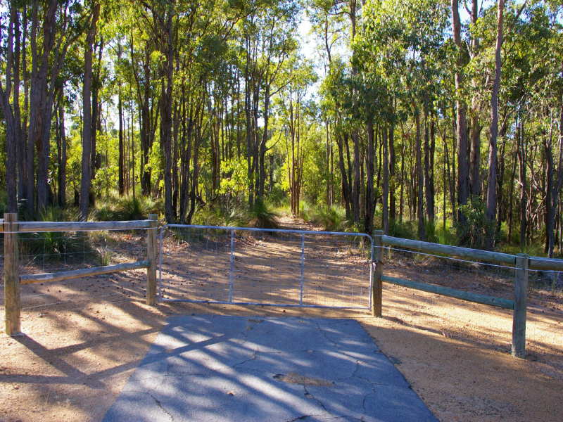5 ACRES OF TALL TREES AND BLACKBOYS Picture 3