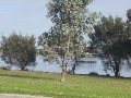 CANAL FRONT WITH STUNNING ESTUARY VIEWS Picture