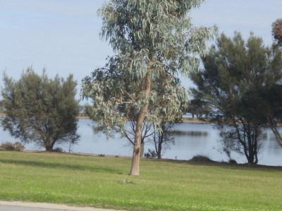 CANAL FRONT WITH STUNNING ESTUARY VIEWS Picture CANAL FRONT WITH STUNNING ESTUARY VIEWS Picture