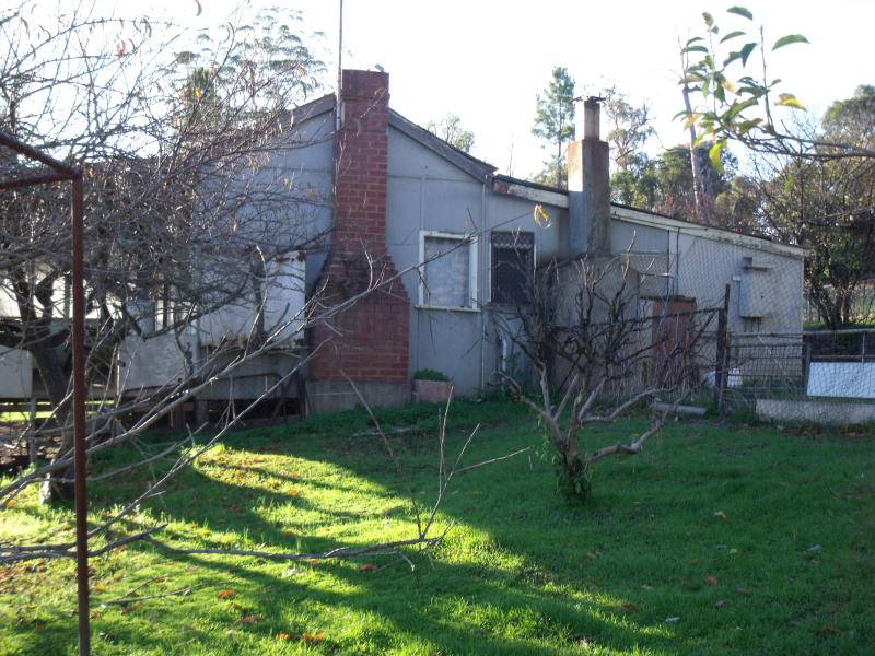 IDEALIC LIFESTYLE BLOCK WITH COTTAGE Picture 2