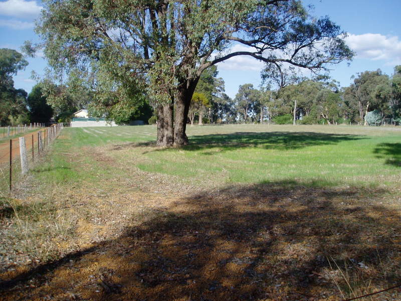 MEMORIES OF YESTERYEAR Picture 3