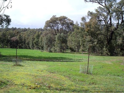 PAINT & PROSPER Picture