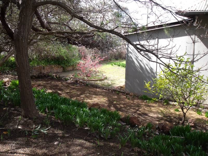 PAINT & PROSPER Picture 3