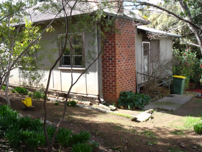 PAINT & PROSPER Picture 2