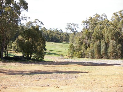 PASTURE AND TREES Picture