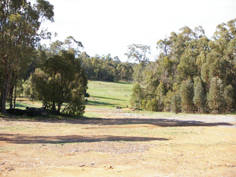 PASTURE AND TREES Picture 2