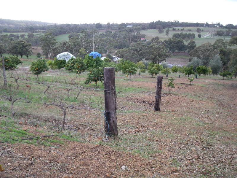 PRIVATE HILLS HOME ON ALMOST 27 ACRES Picture 2