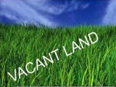 OPPOSITE RESERVE Picture