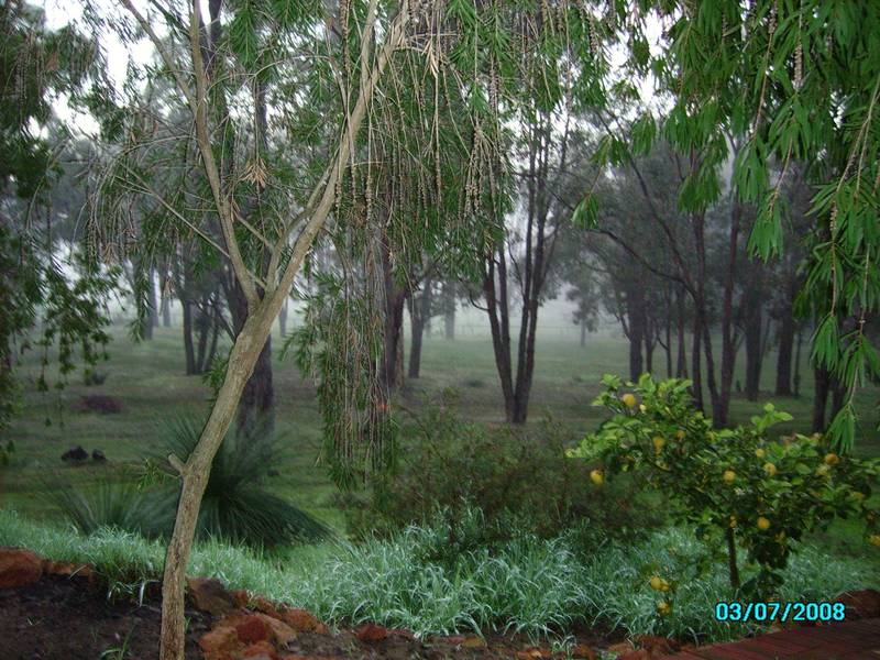 WELL PRESENTED 5X2 HOME TUCKED AWAY ON PRIVATE 5 ACRE BLOCK Picture 2