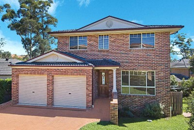 Tranquil Bush Setting Picture Tranquil Bush Setting Picture