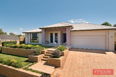 Accept No Substitutes Picture Accept No Substitutes Picture