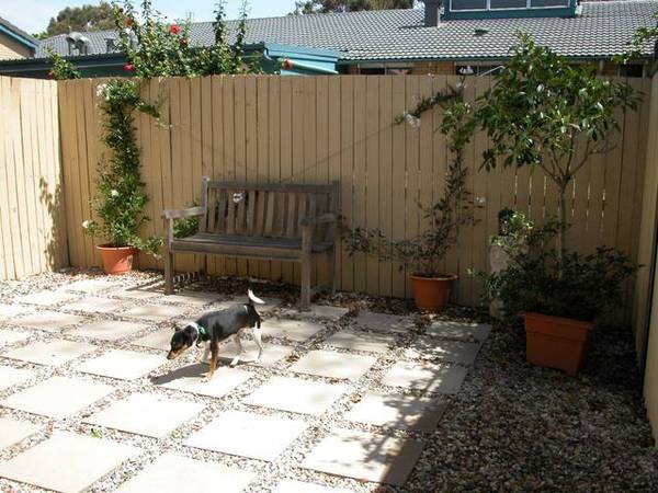 ME AND YOU AND A DOG NAMED BOO! Picture