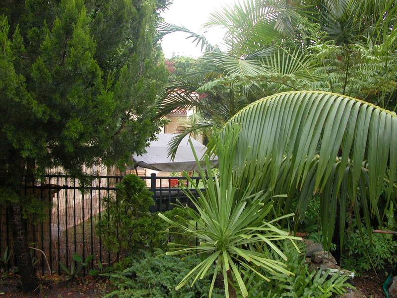 BEAUTIFUL 3 BEDROOM LOCATED IN ONE OF SOUTHPORT'S BEST TREE-LINED STREETS Picture 2