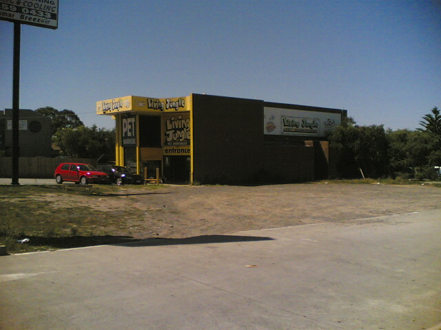 A MUST BUY Picture 2