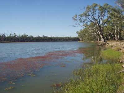 Caravan Park Potential Picture