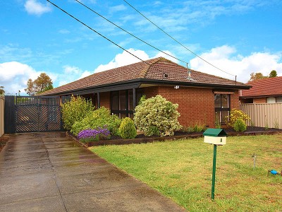 The affordable option! Picture