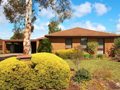 Three In One Picture