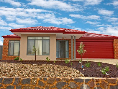 Spread Your Wings Picture