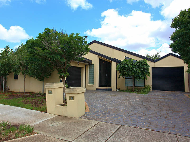 An Absolute Stunner Picture 1