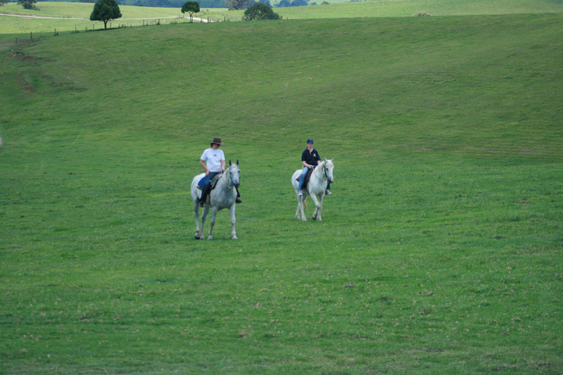 EXQUISITE LAND HOLDING ON OFFER - 164 HECTARES Picture 3