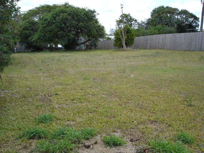 LARGE NEW DUPLEX PAIR IN PALMWOODS Picture 2