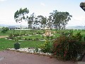 60.79 Ha (150 acres) 10 minutes to Bunnings - Two Homes (both 4 bedroom) - 2 Bores - 14 Stables plus Rural Views - Wyree Picture