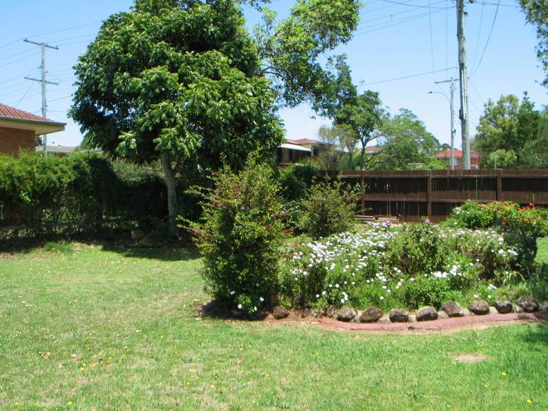 812m2 - Centenary Heights - Potential Here! Picture 3