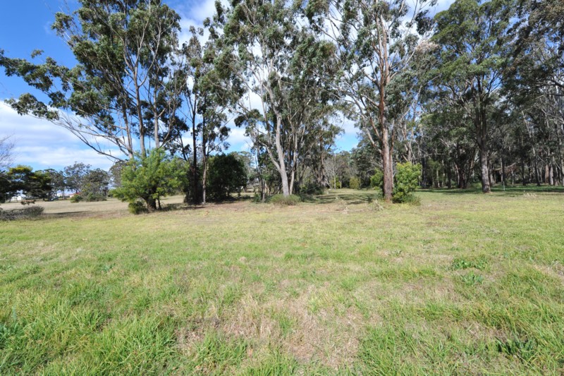 Large Family Home - Rangeville Picture 3