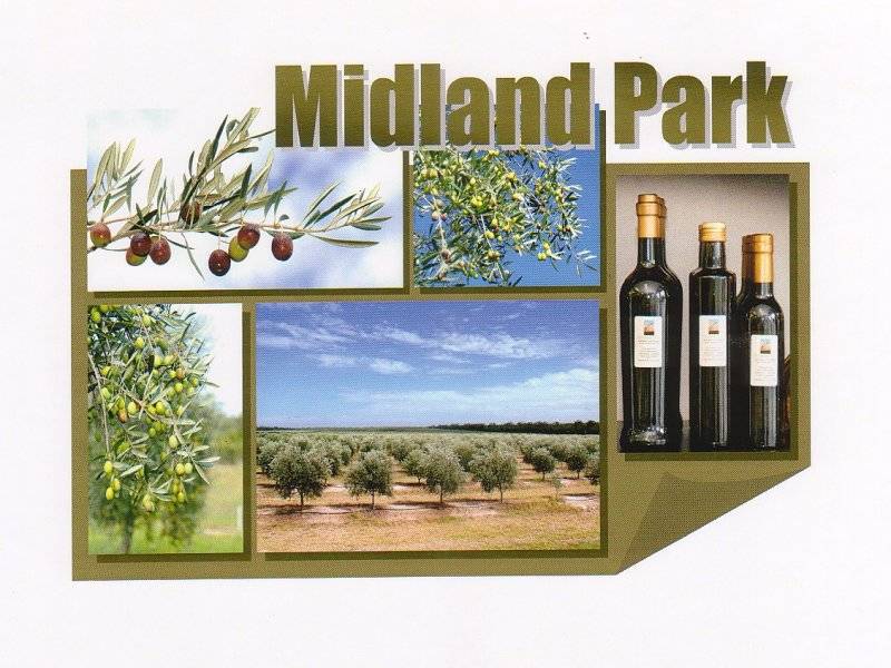 Midland Park Picture 1