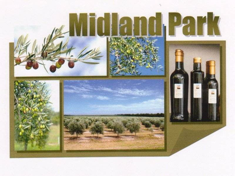 Midland Park - Millmerran Picture 1