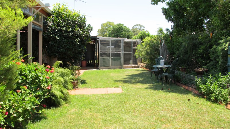 Renovated Dream Starter Picture 2