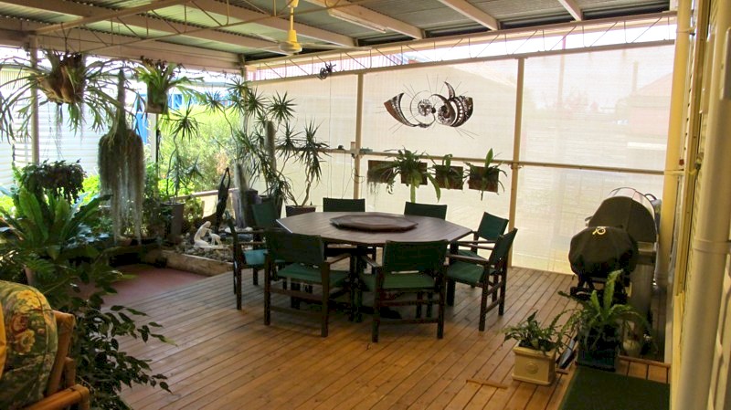 Renovated Dream Starter Picture 3