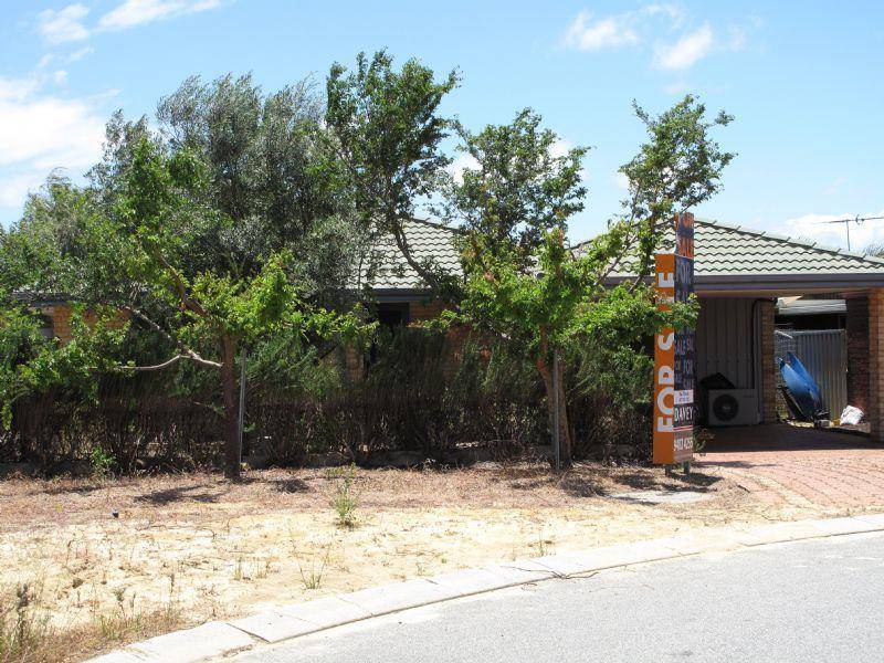 PAINT AND PROSPER Picture 1