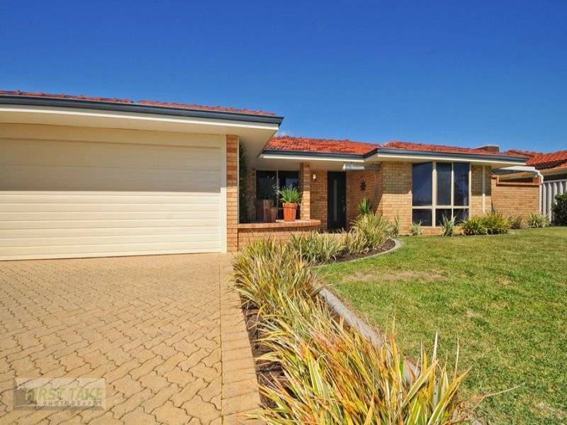 THE STAR ATTRACTION Picture 2