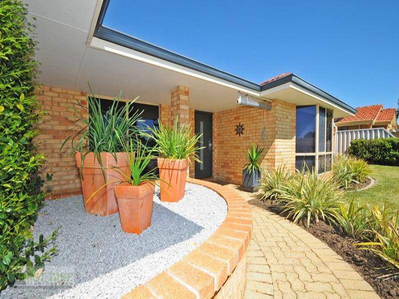 THE STAR ATTRACTION Picture 3