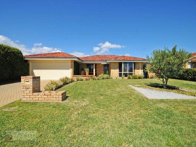 THE STAR ATTRACTION Picture THE STAR ATTRACTION Picture