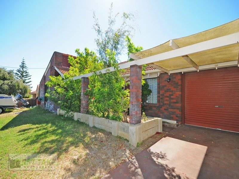 THE STAR ATTRACTION Picture 3